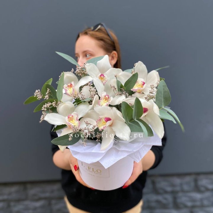 7 орхидей в боксе в Братске