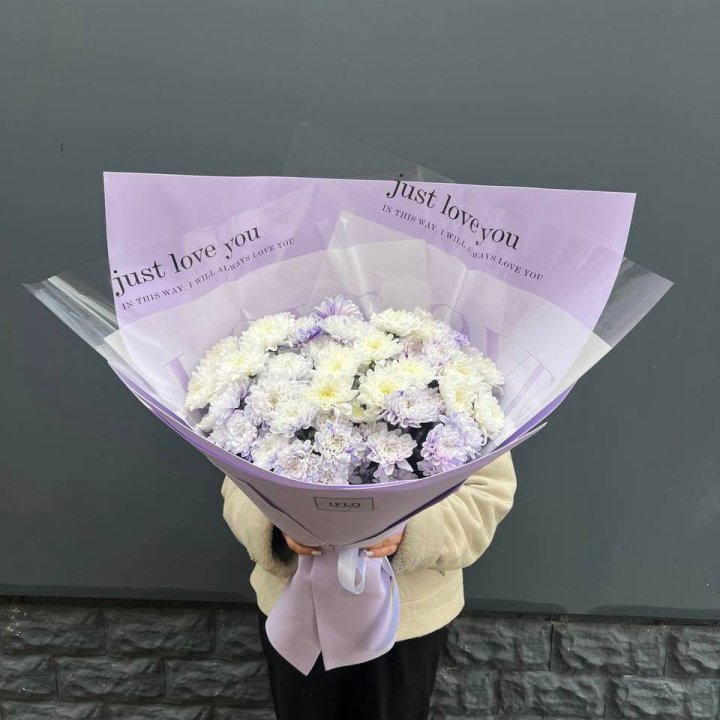 9 воздушных хризантем в Братске