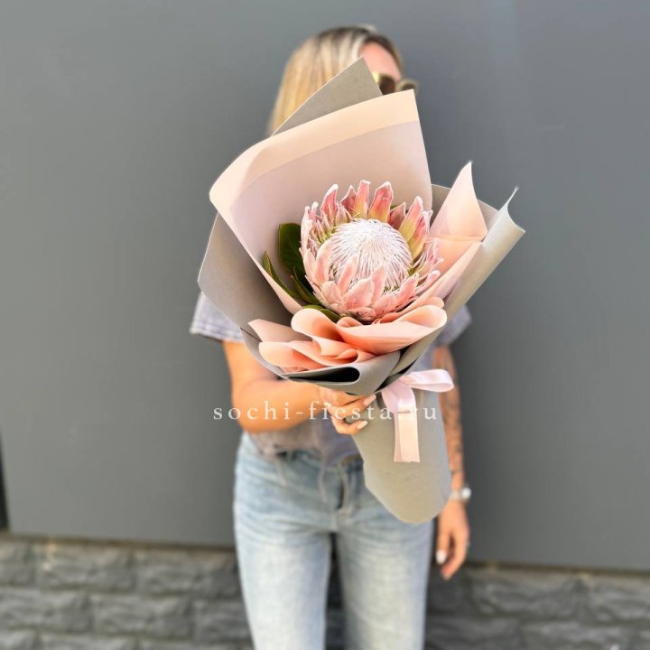 Протея мини  в Братске