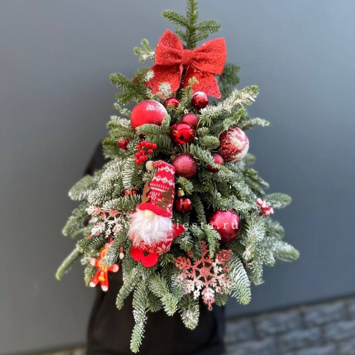 Новогодняя елочка "Ред" в Братске