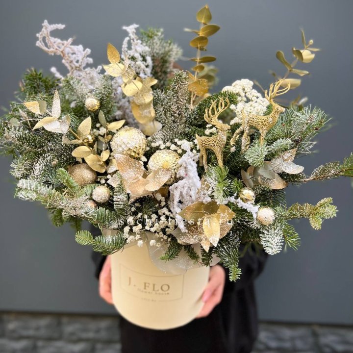 Золотой бокс с нобилисом в Братске