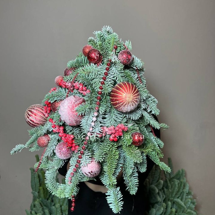 Ёлка красная в Братске