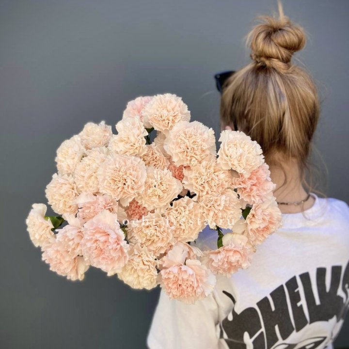 Охапка диантусов  в Братске