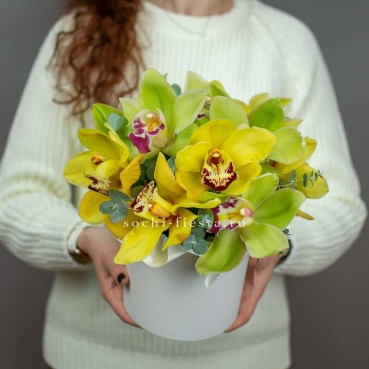 Бокс с орхидей №1 в Братске