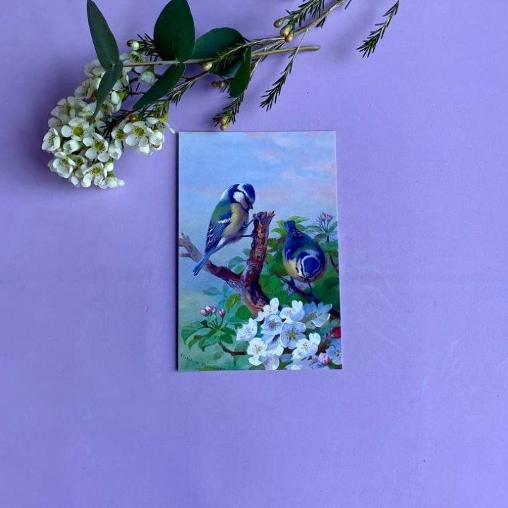 Открытка к букету "Птицы" в Братске