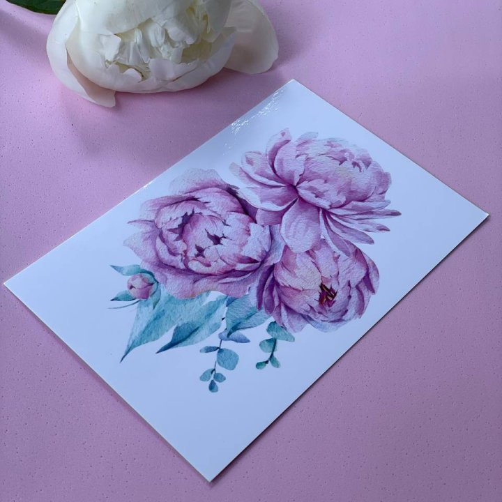 Открытка к букету "Пионы" в Братске