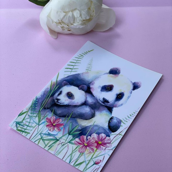 Открытка к букету "Объятие Панды" в Братске