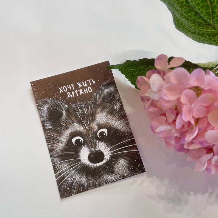 Открытка к букету "Енотик" в Братске