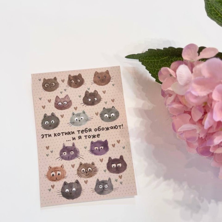 Открытка к букету "Котики" в Братске