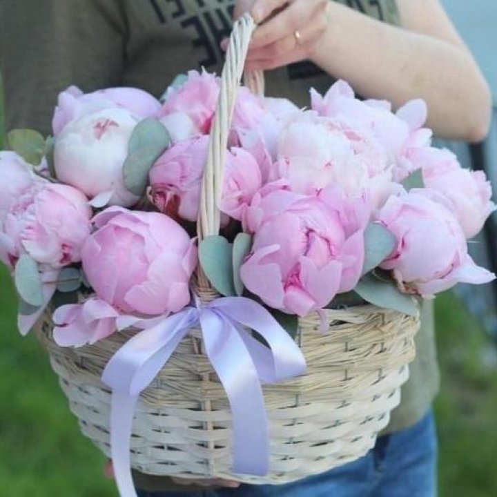 15 пионов в корзине в Братске