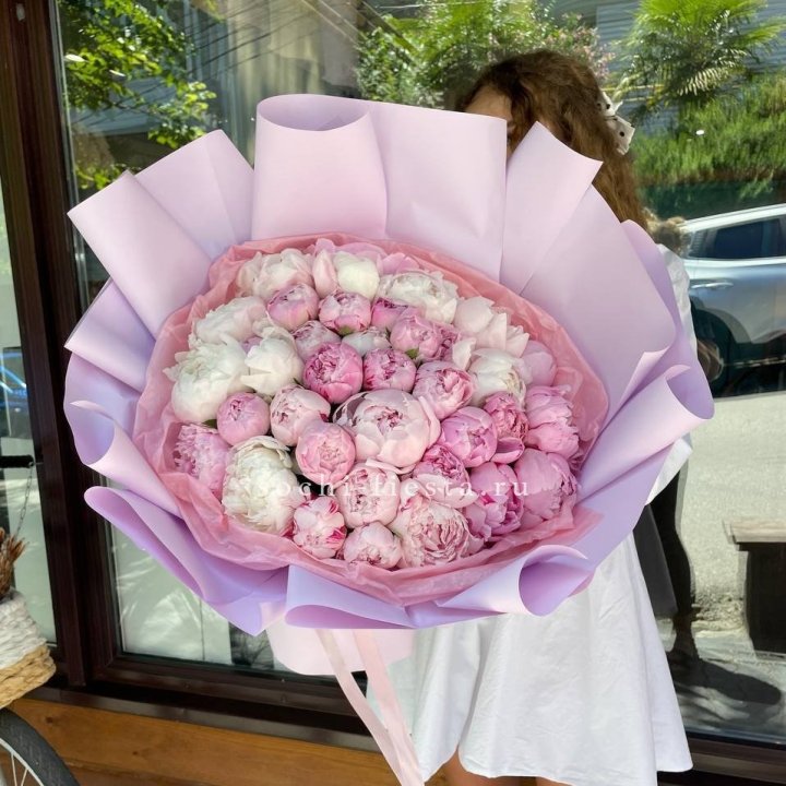 51 розовый пион в Братске
