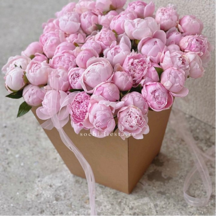 49 пионов в крафт коробке в Братске