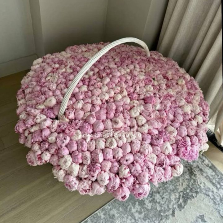 Корзина 555 пионов в Братске