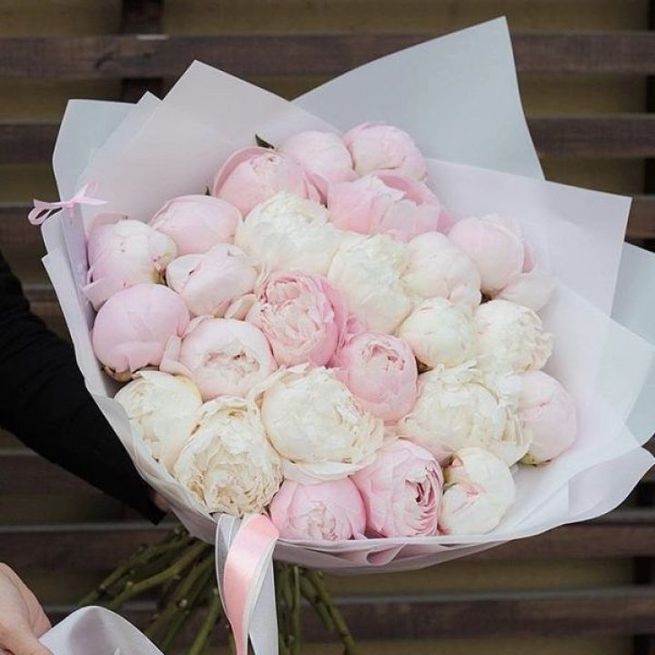 29 пионов в Братске