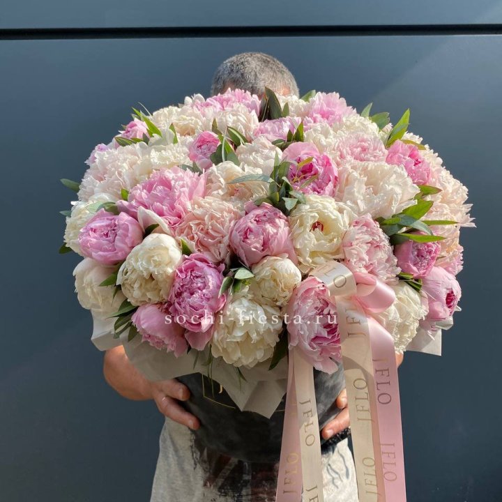 51 пионов в боксе в Братске