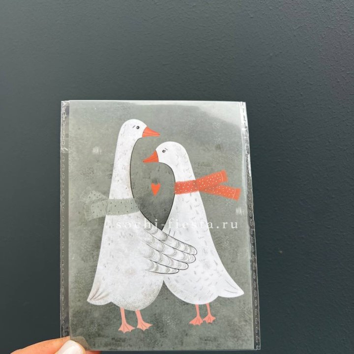 Открытка к букету "Гуси” в Братске