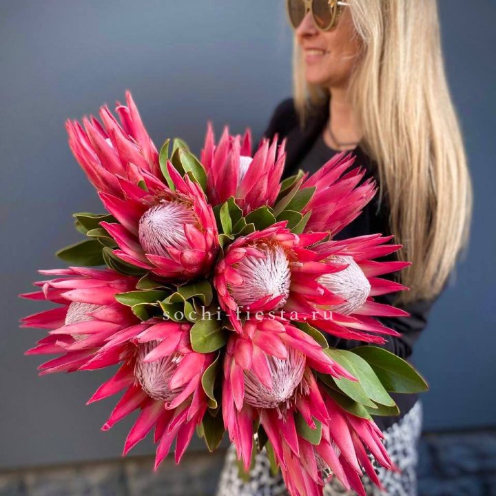 Протея штучно в Братске