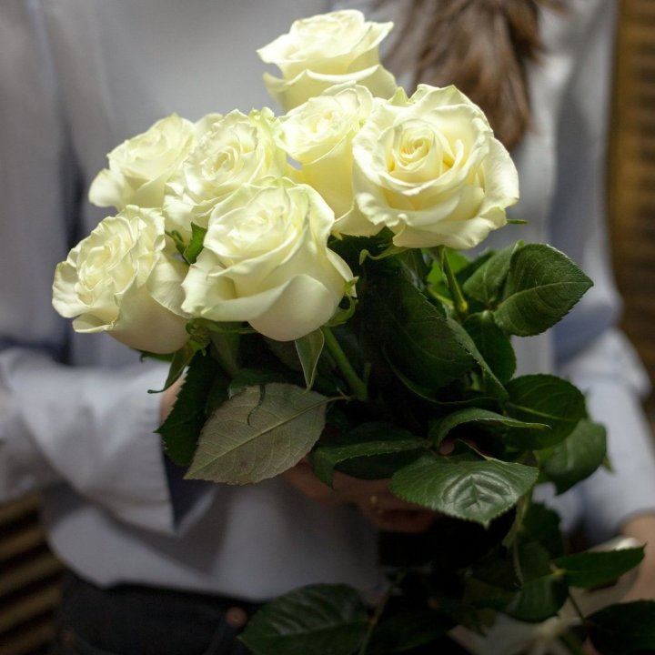 7 белых роз в Братске