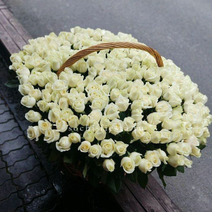 303 розы в корзине в Братске