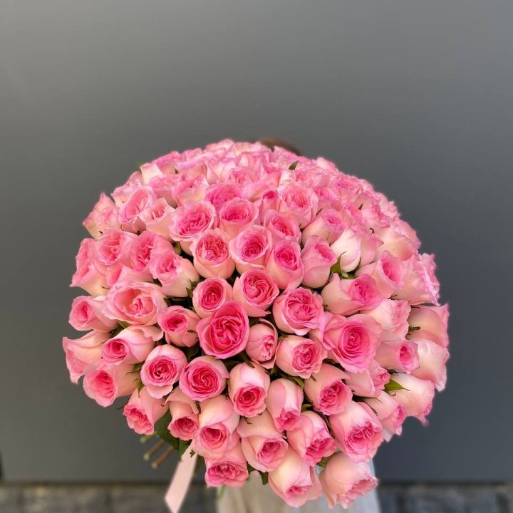 101 розовая роза в Братске