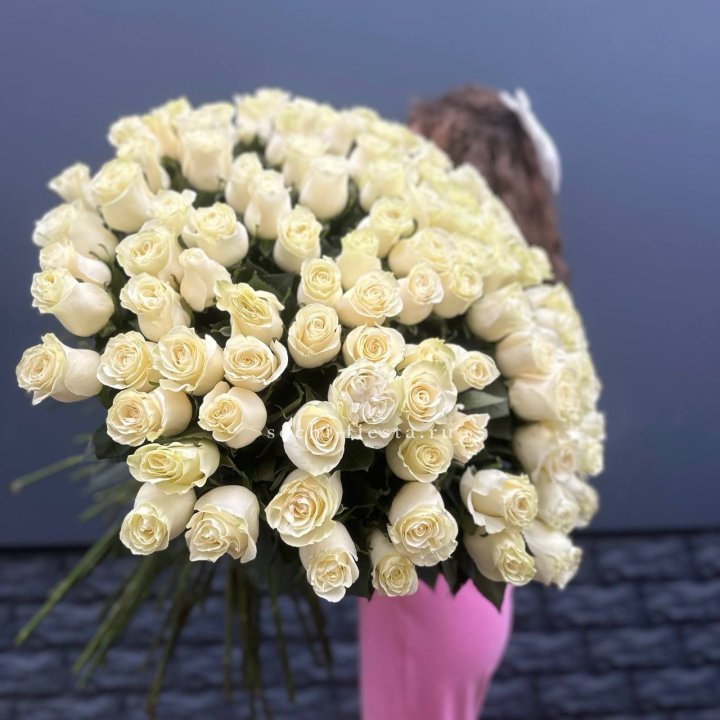 101 белая высокая импортная роза под ленту в Братске