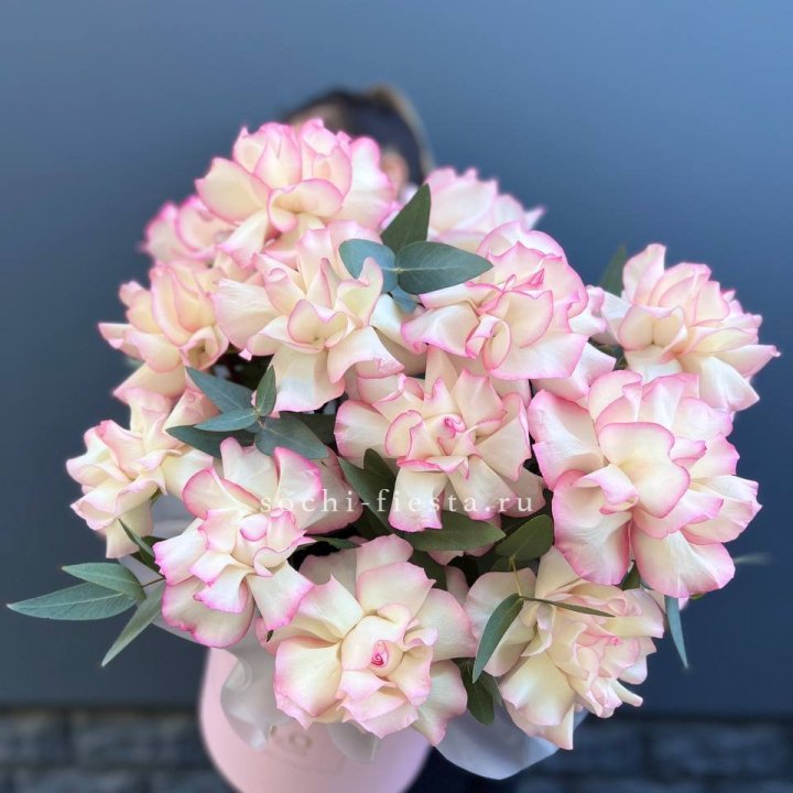 15 Французских роз Джумилия в боксе в Братске