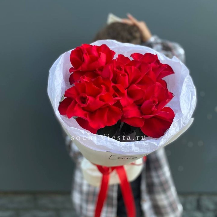 5 французских красных роз в Братске