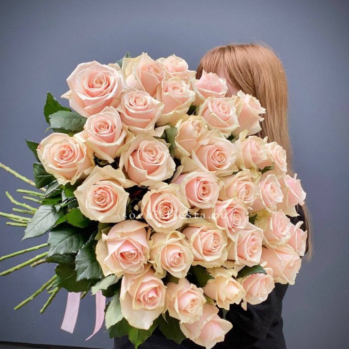 35 кремовых высоких роз в Братске