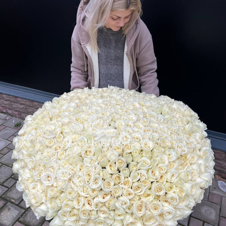 501 белая роза в корзине в Братске