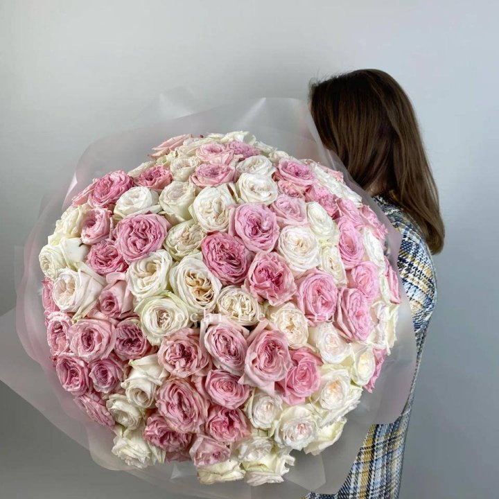 101 роз Охара в Братске