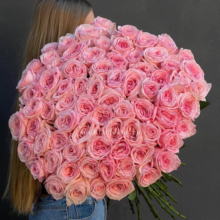 75 роз Охара в Братске