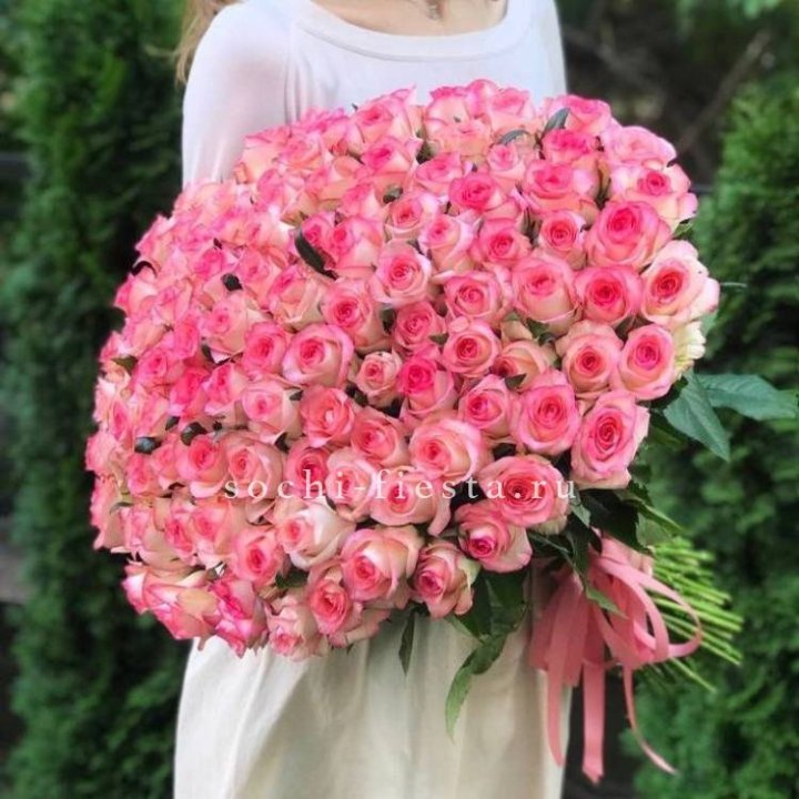 101  джумилия роза  в Братске