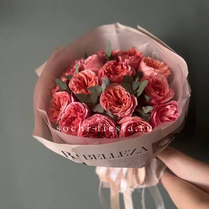 15 Пинк экспрешен в Братске