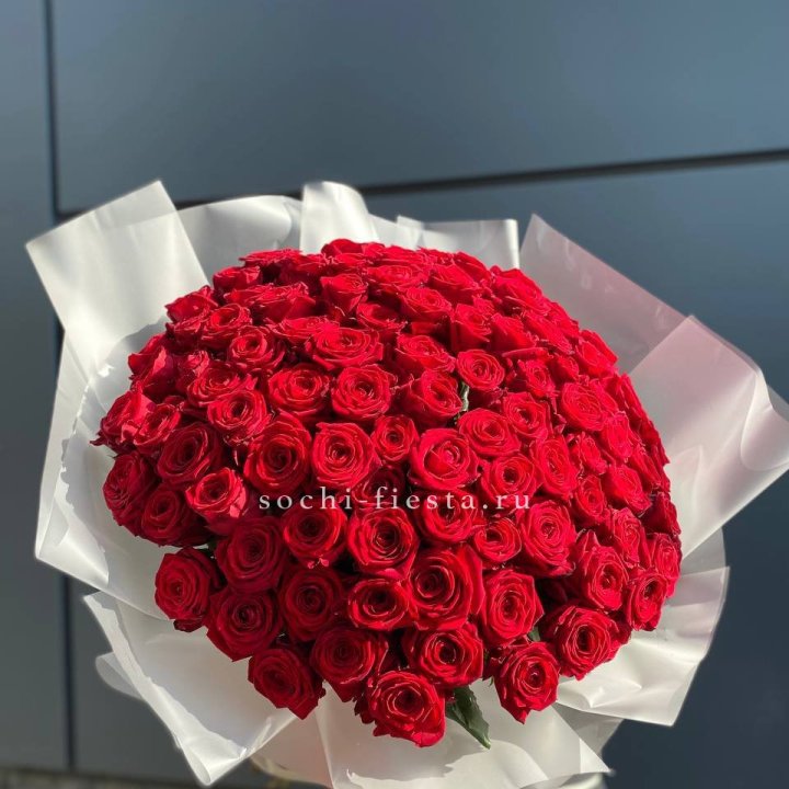 101 высокая роза в Братске