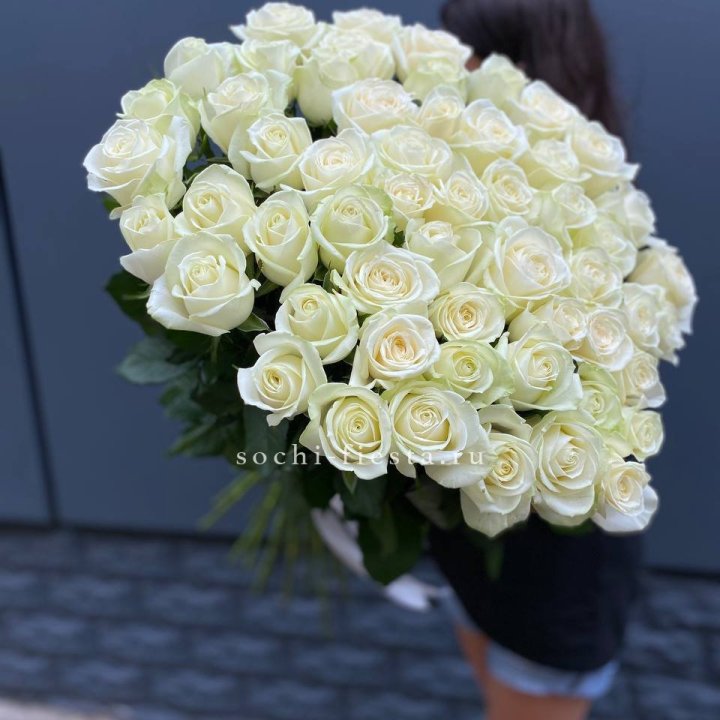 51 белоснежная высокая роза в Братске