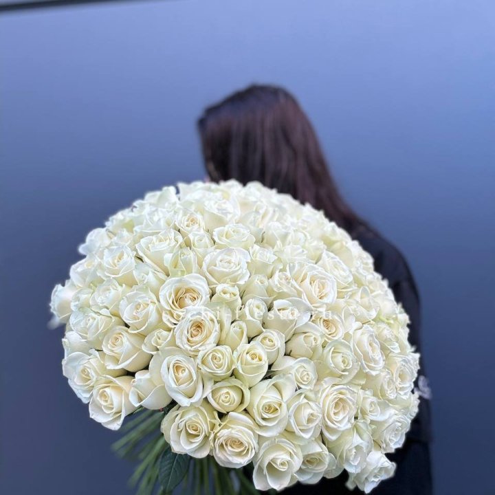 Охапка из 101 белой розы  в Братске