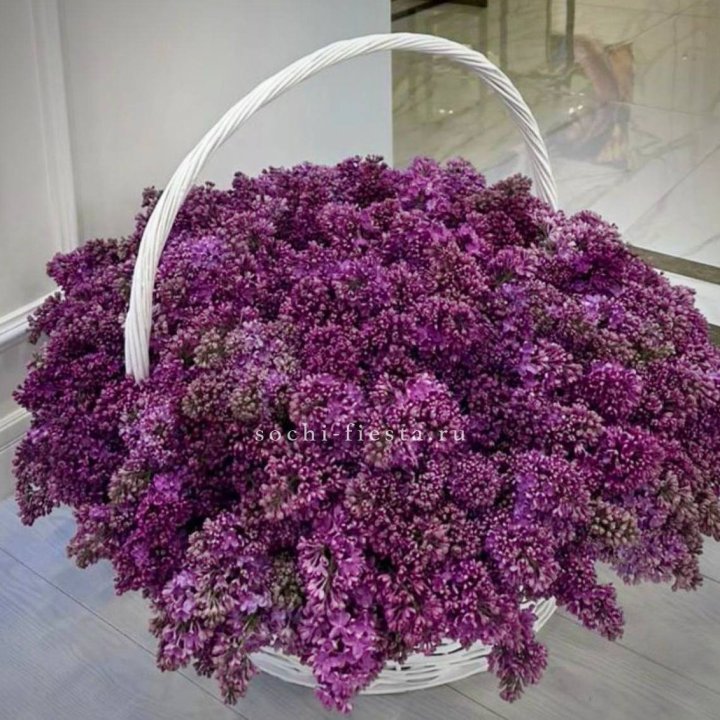 Корзина сирени в Братске