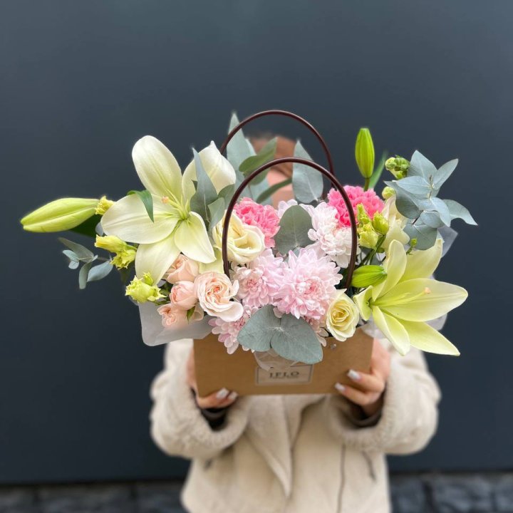  Сумочка "Полумесяц" в Братске