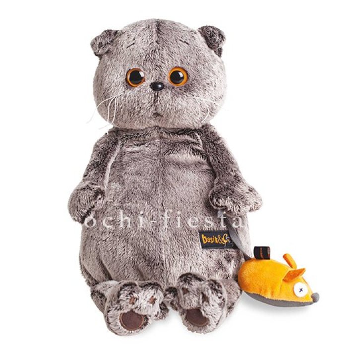 Кот Басик с мышкой в Братске