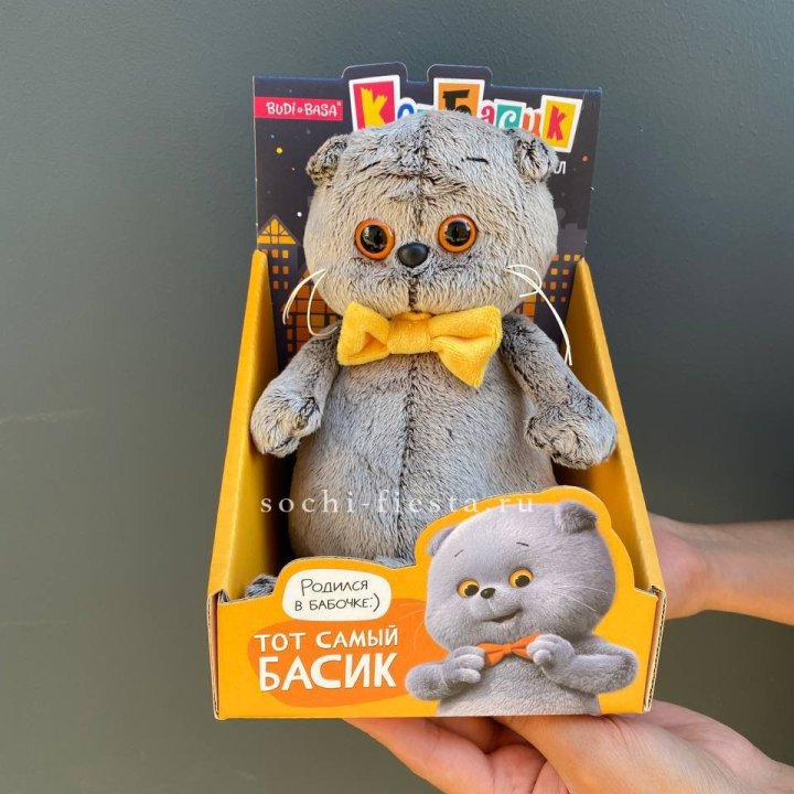 Кот Басик с бабочкой в Братске