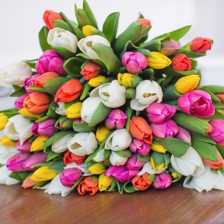 79 тюльпанов "Рандом" в Братске