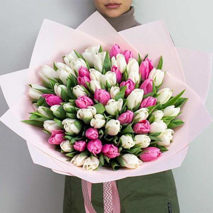 61 бело-розовый тюльпан в Братске