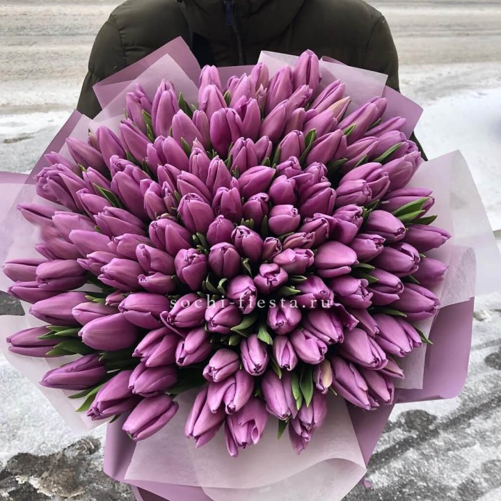 101 сиреневый тюльпан в Братске