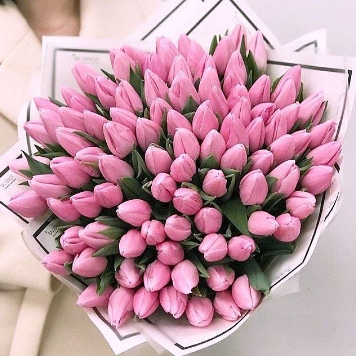 101 розовый тюльпан в белом в Братске