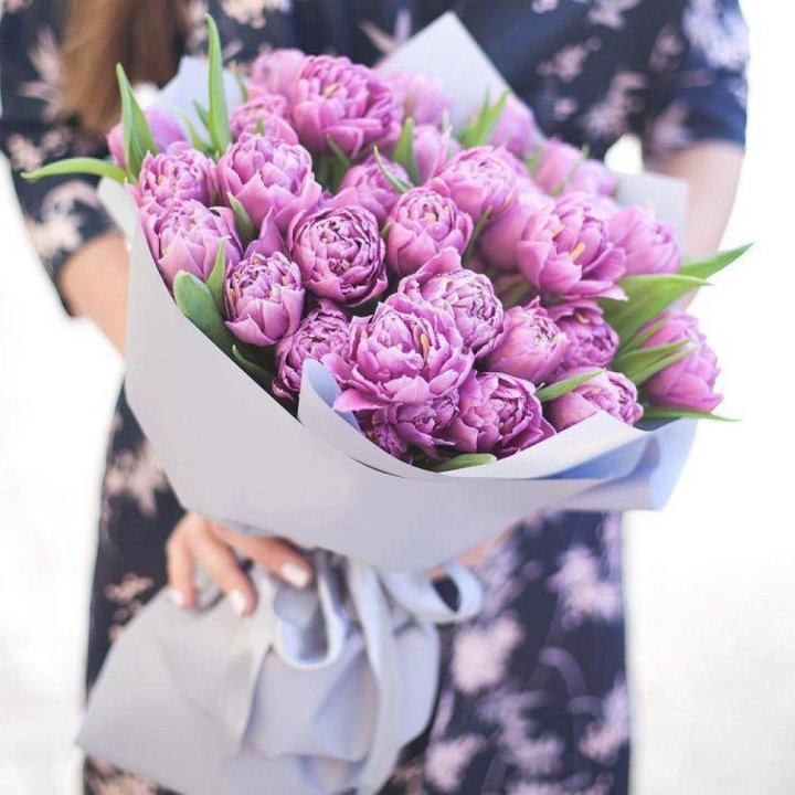 Тюльпаны "Пионс" в Братске