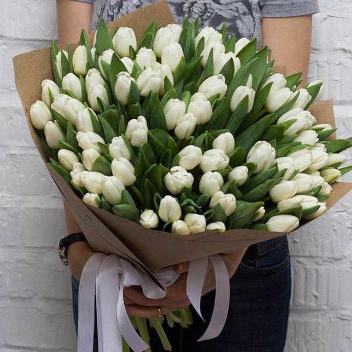 101 тюльпан сноу в Братске