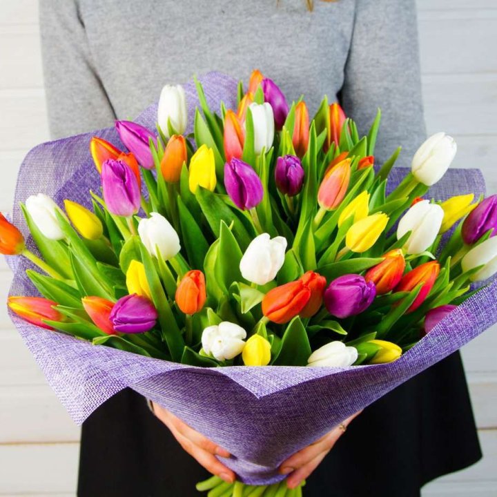 51 тюльпан "Рандом" №2 в Братске